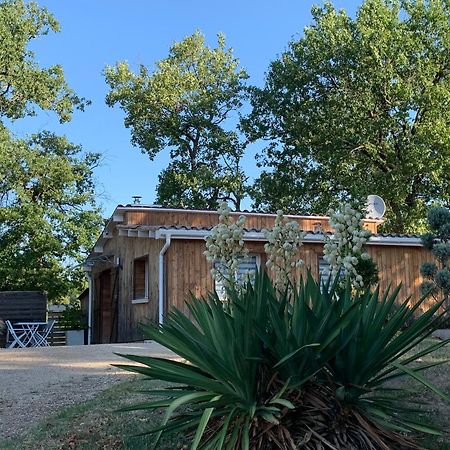 La Grenouillere Villa Caussade Kültér fotó